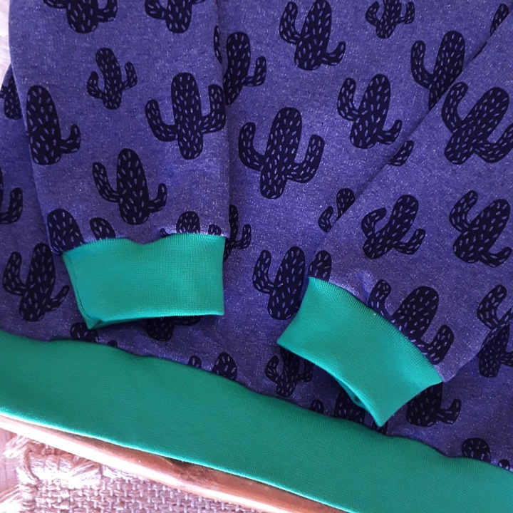 Sweat-shirt Cactus – Petit Garçon 3 Ans – Image 3